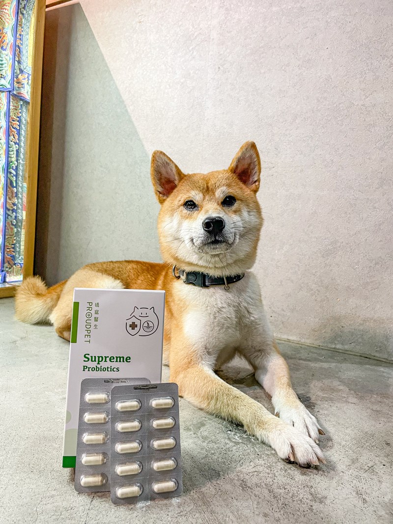 試用
